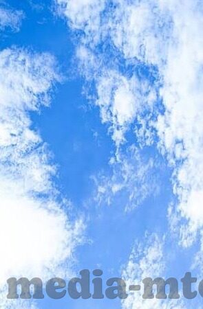 伦理在线观-伦理在线观,重塑网络空间的价值导向