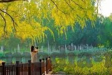 人妻少妇久久中文字幕-探索人妻少妇角色的多维度面貌——以中文字幕下的情感细腻描绘为例